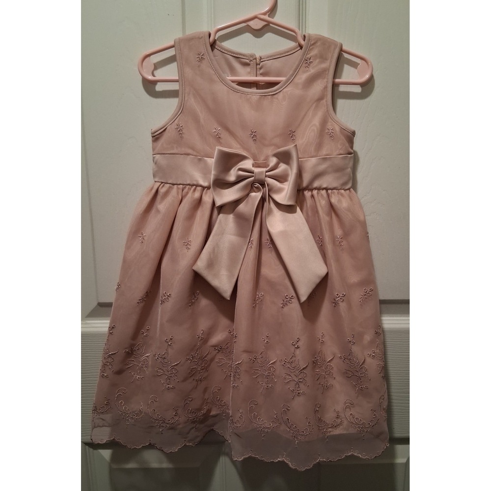 Katy M Light Mauve Tulle Dress Size 2T Beautiful Lace Detailed With Bow